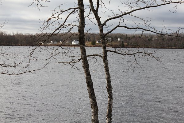 New Camera Dec2010 069